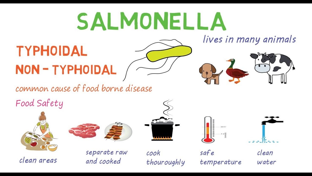 Salmonellosis