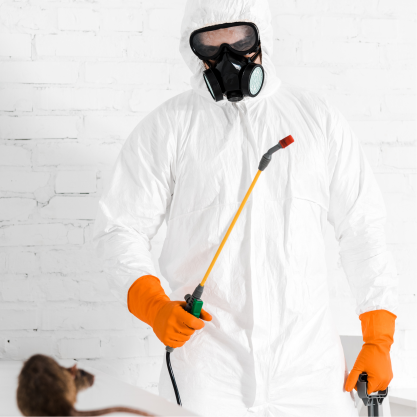 Best Commercial Pest Control And Pest Management Company